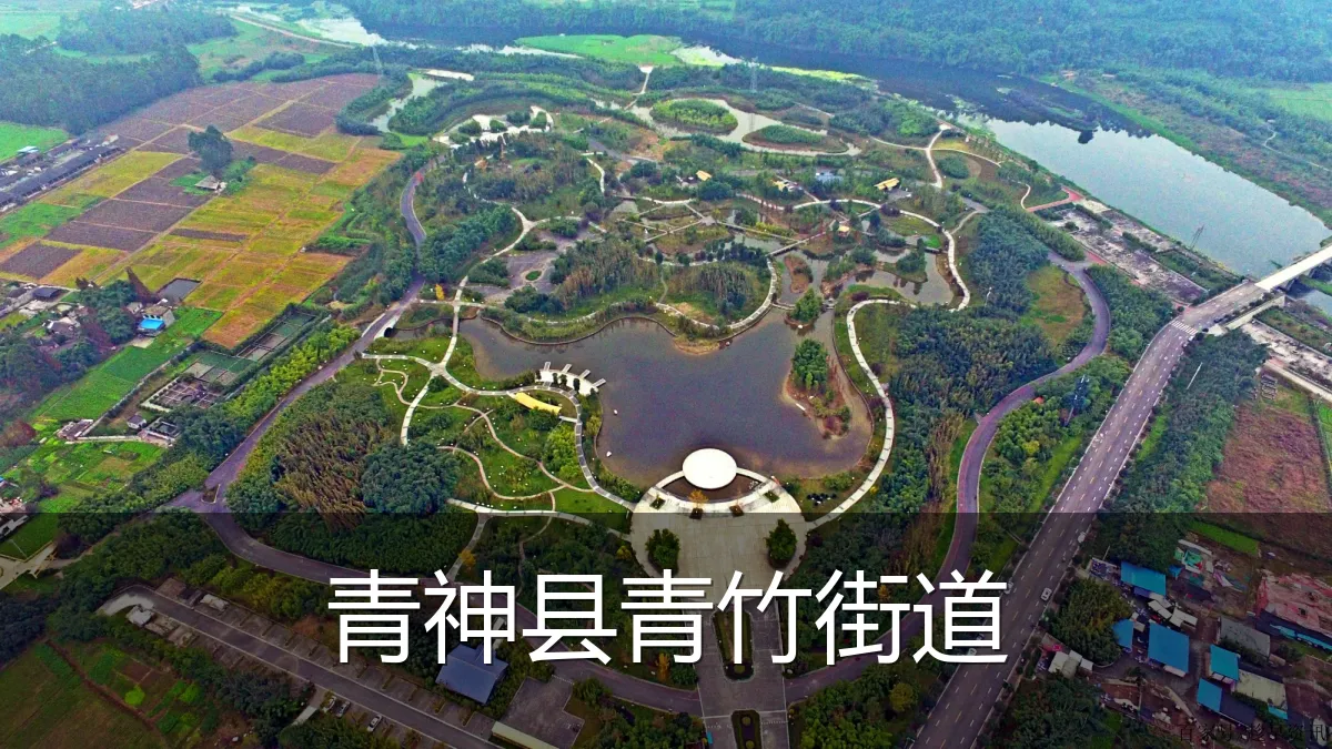 青神县青竹街道